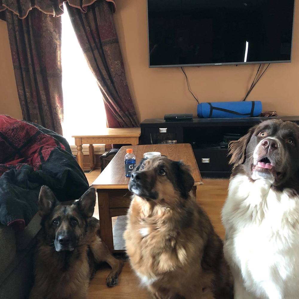 Meet your Posher, Kim